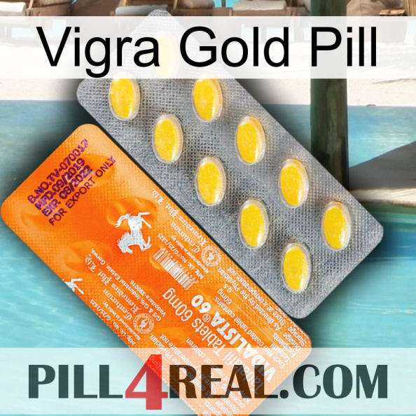 Vigra Gold Pill new05.jpg